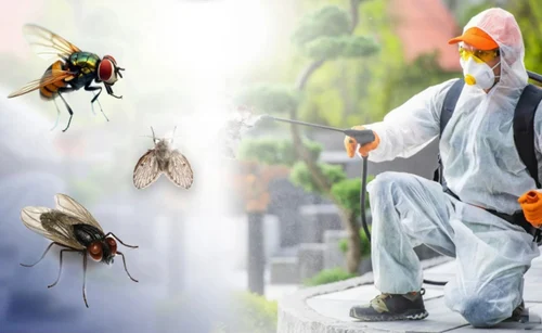 house flies pest control service 500x500